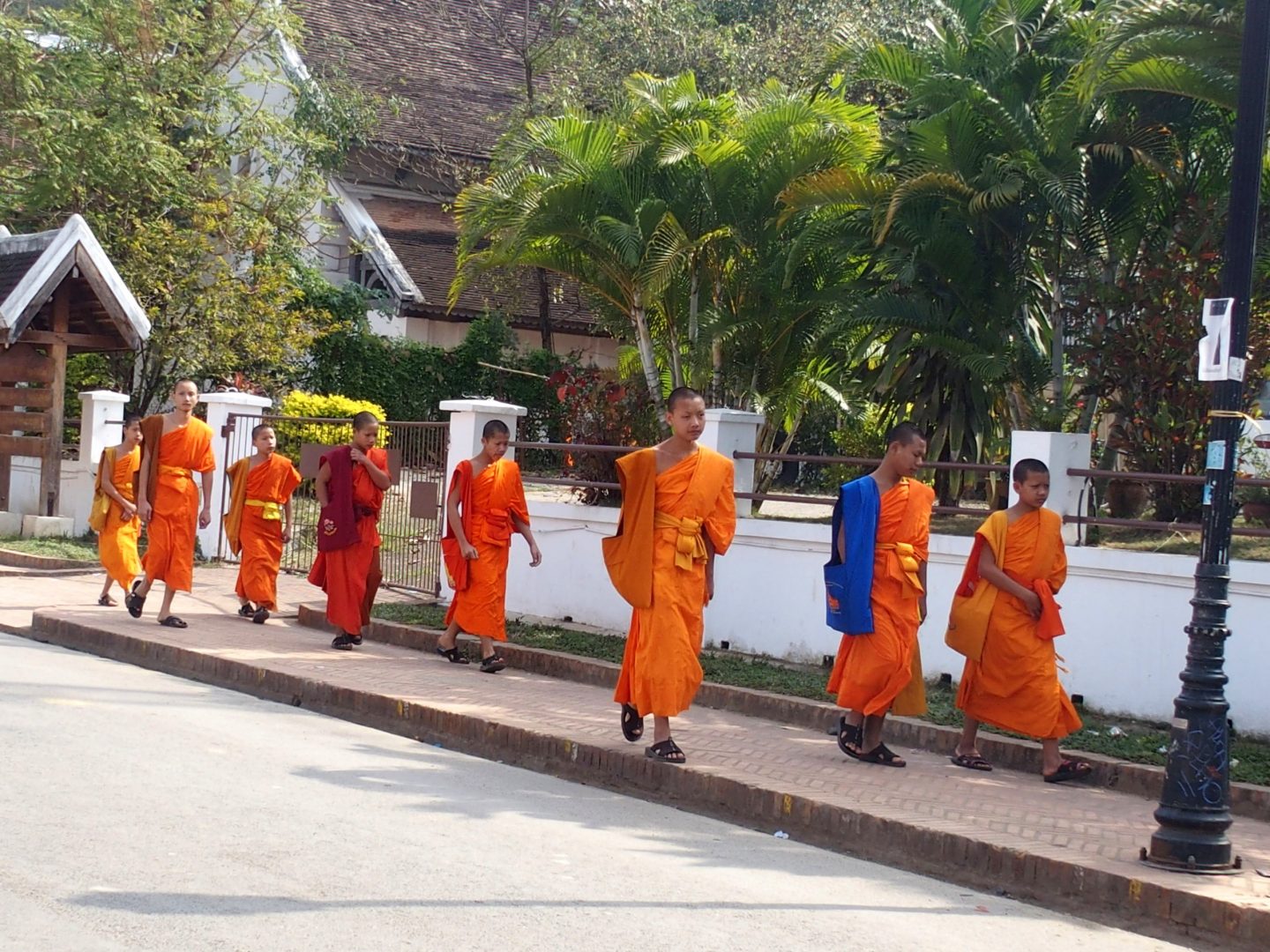Jeunes moines dans rues Luang Prabang Laos