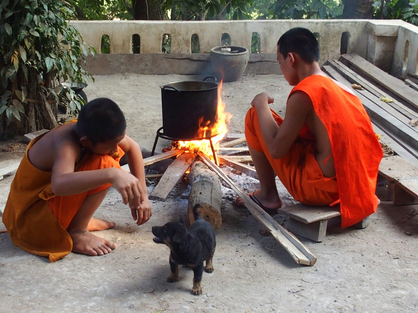 Jeunes moines qui cuisent du riz Luang Prabang Laos