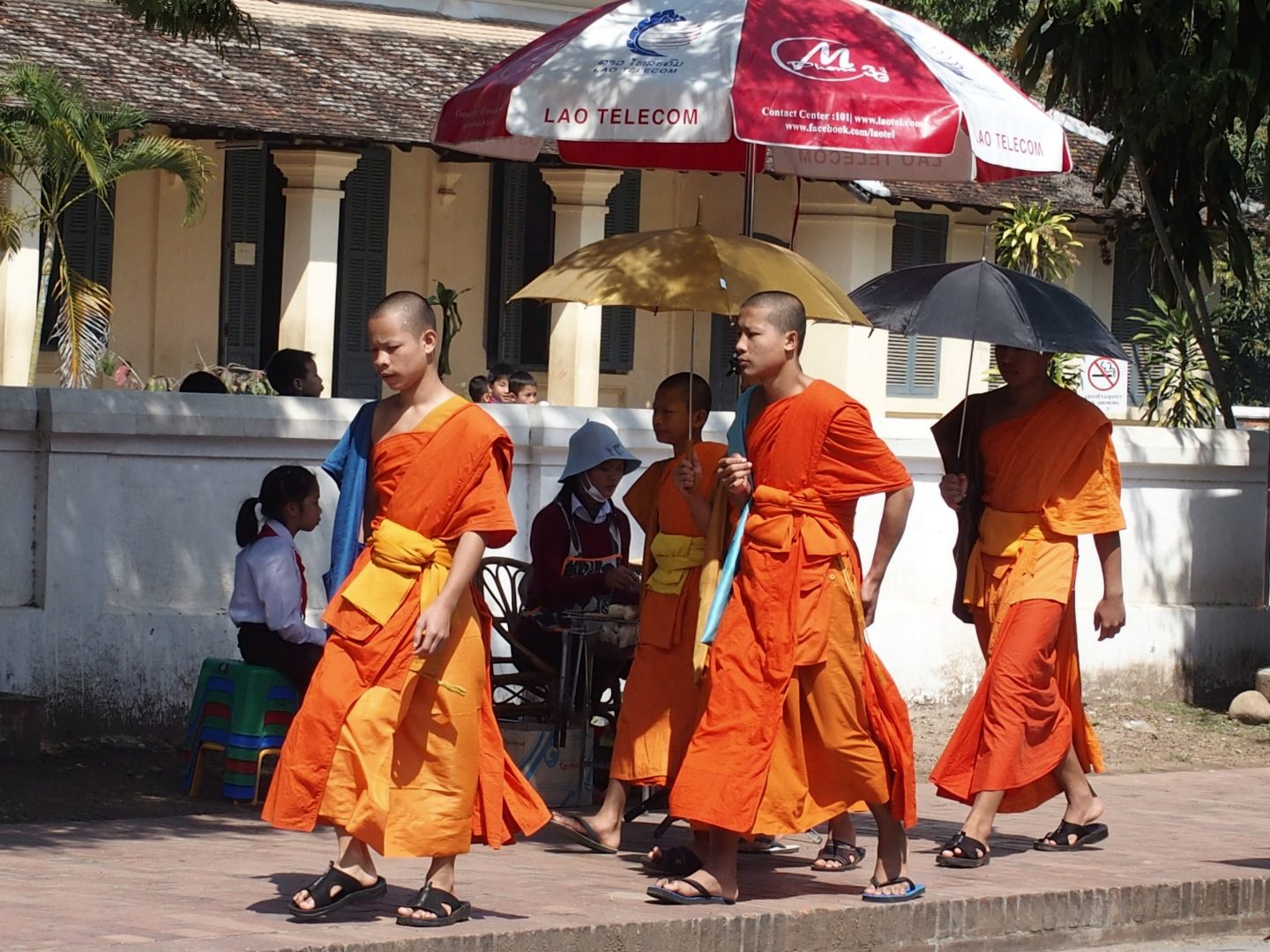 Moines sous leurs parapluies rues Luang Prabang Laos