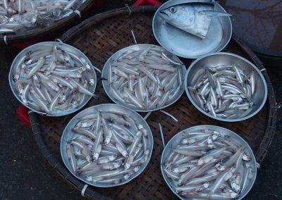 Petits poissons marché Laos