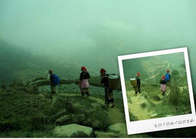 Marche dans les rizières avec femmes Dao Vietnam