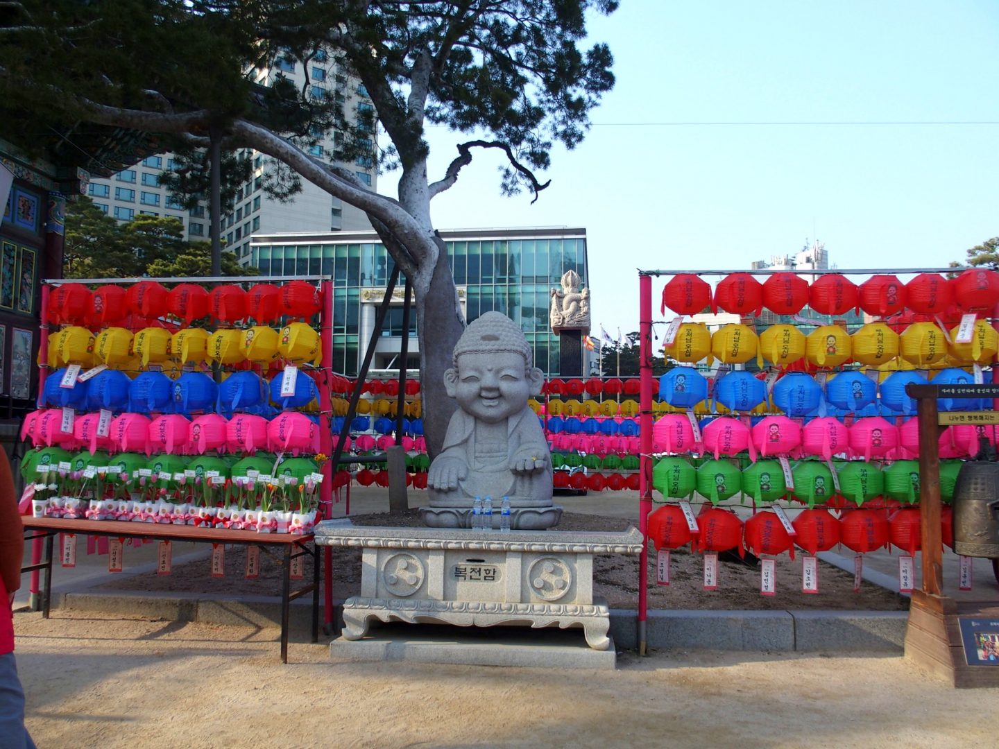 Bouddha et lanternes temple Jogyesa Seoul Corée du sud