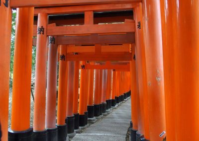 Entrée Tori Japon