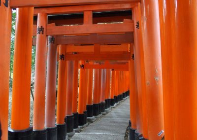 Entrée Tori Japon