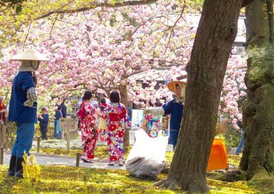 Kimonos et fleurs de cerisiers Japon