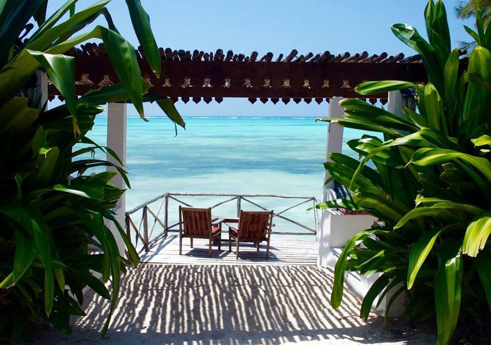 Carnet de voyage à Zanzibar – Tanzanie