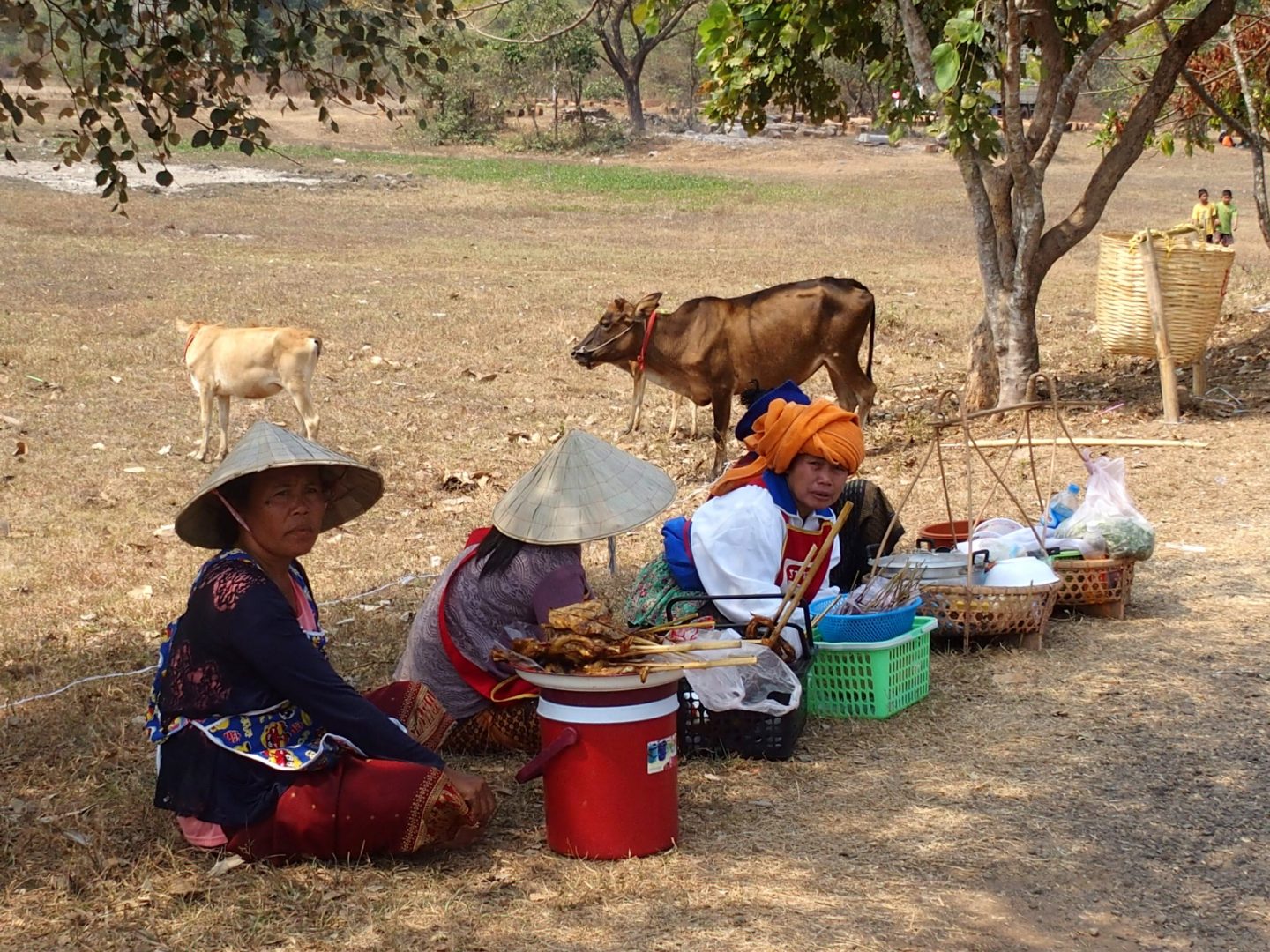 Restauration ambulante Vat Phou Laos