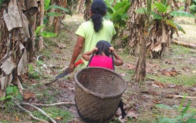 Une rencontre très piquante en Amazonie équatorienne !