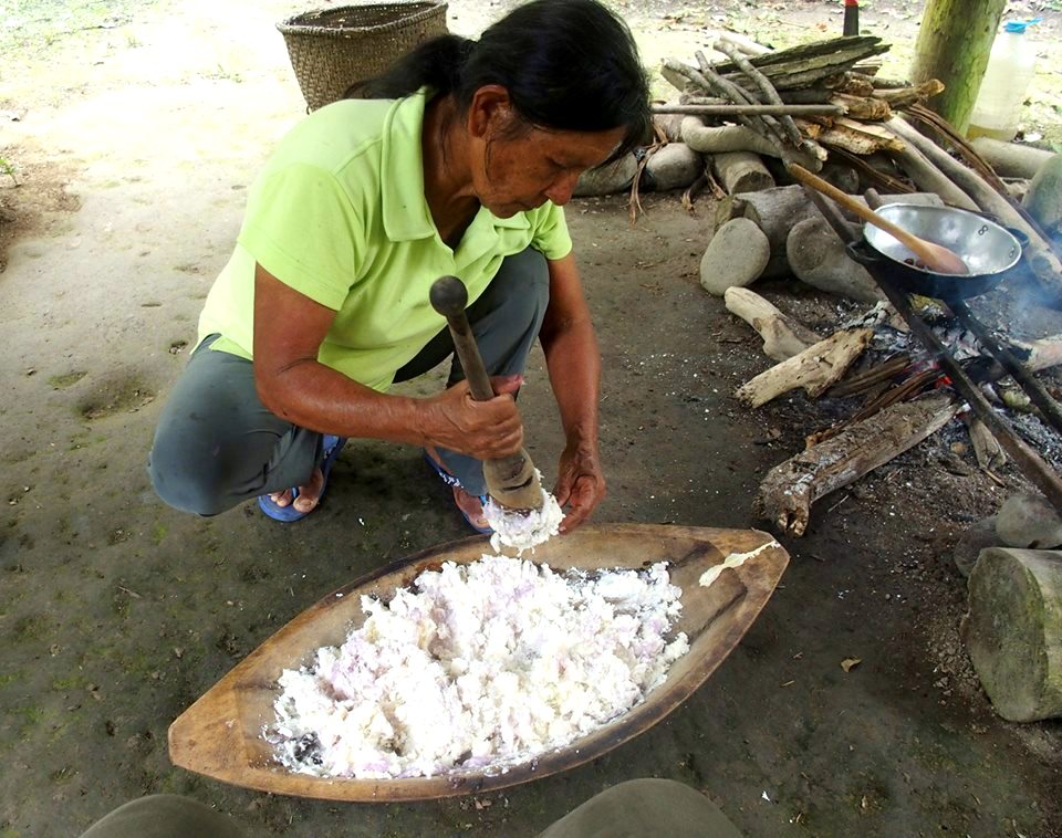 Préparation de chicha de yuca en Amazonie équatorienne