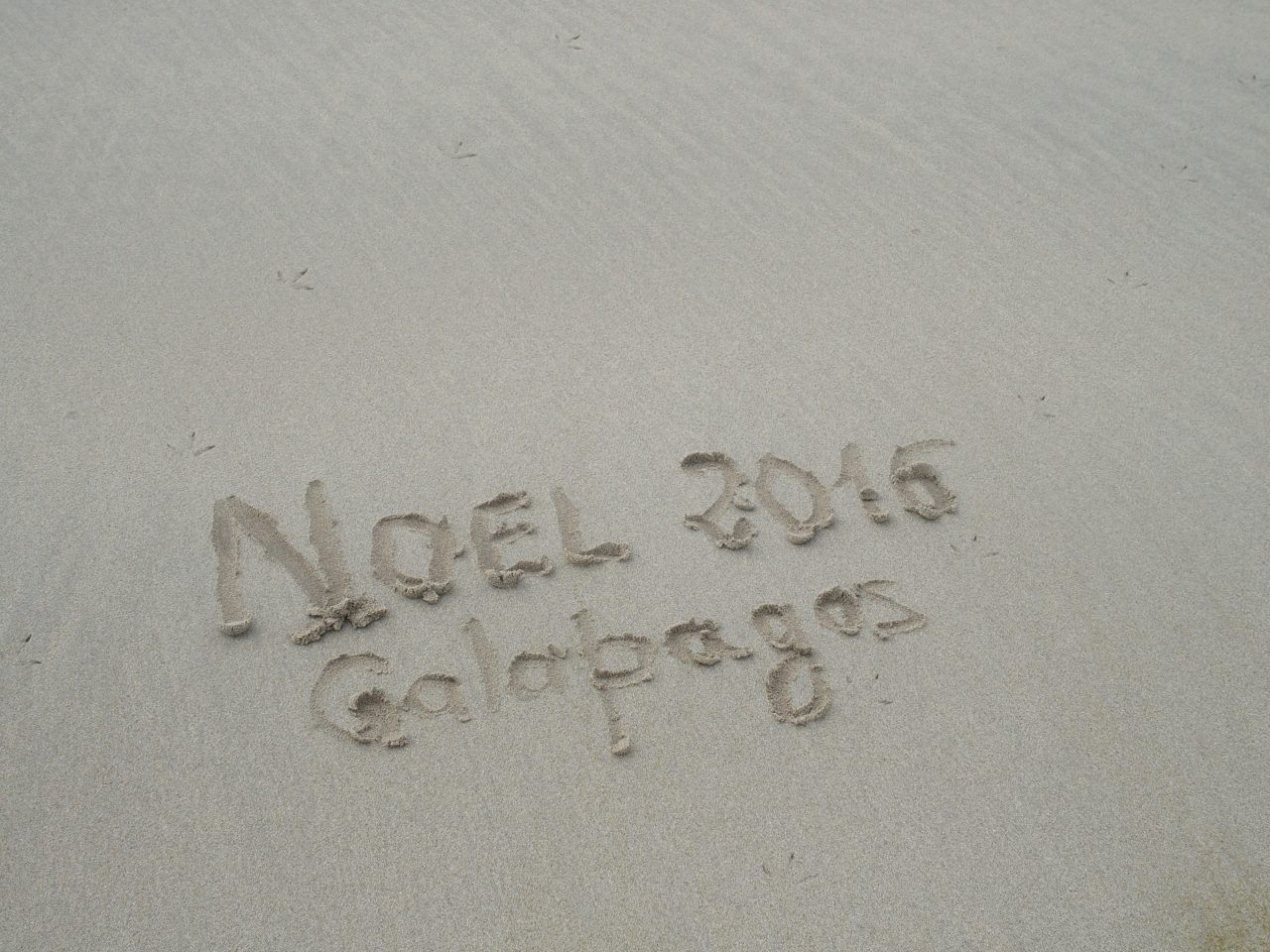 Noël sur la plage - Galapagos