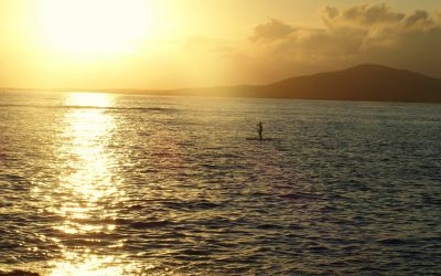 Dernière étape aux Galapagos sur l’île d’Isabela