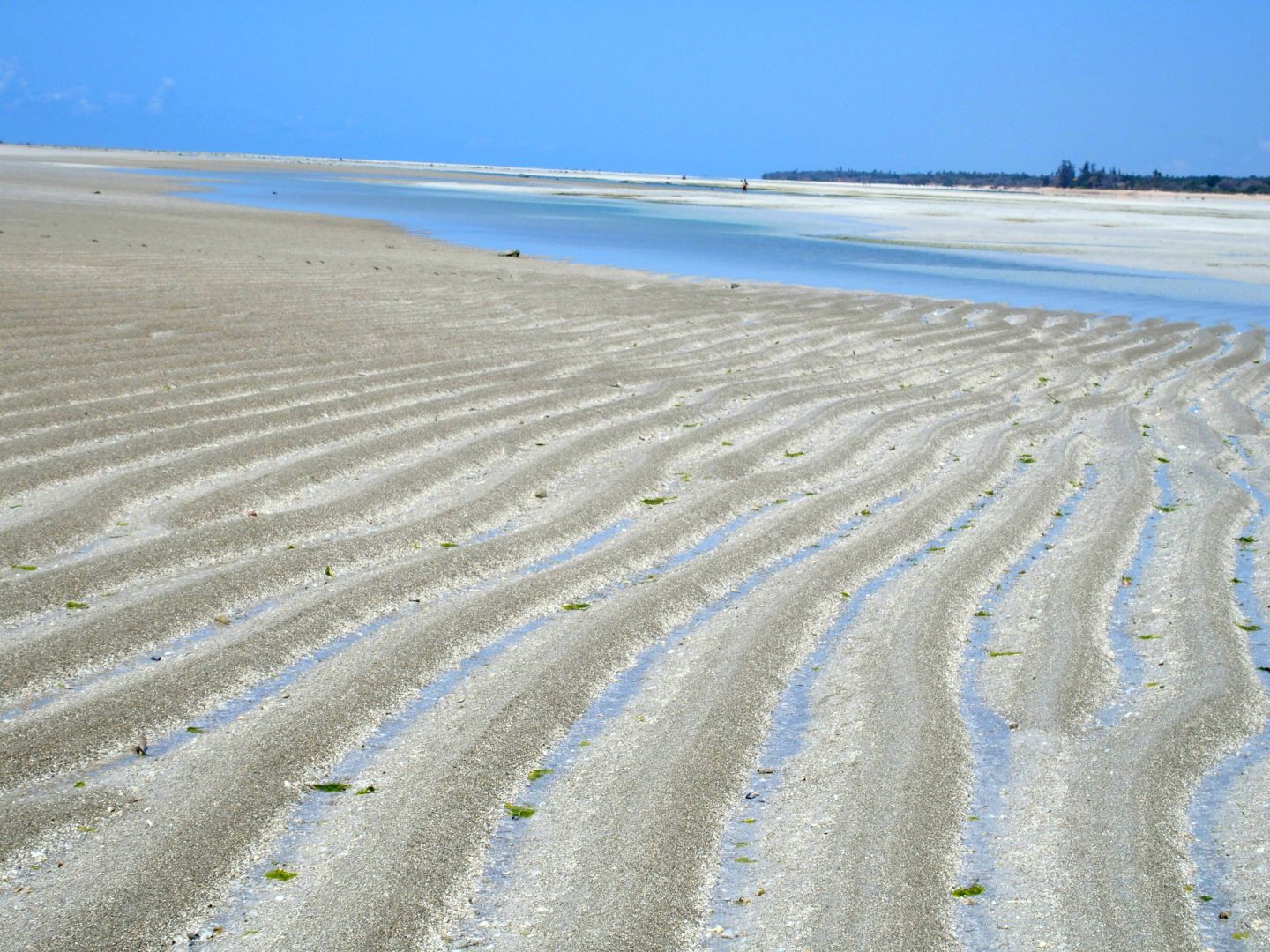 Sable plage Murrébué - Mozambique.JPG
