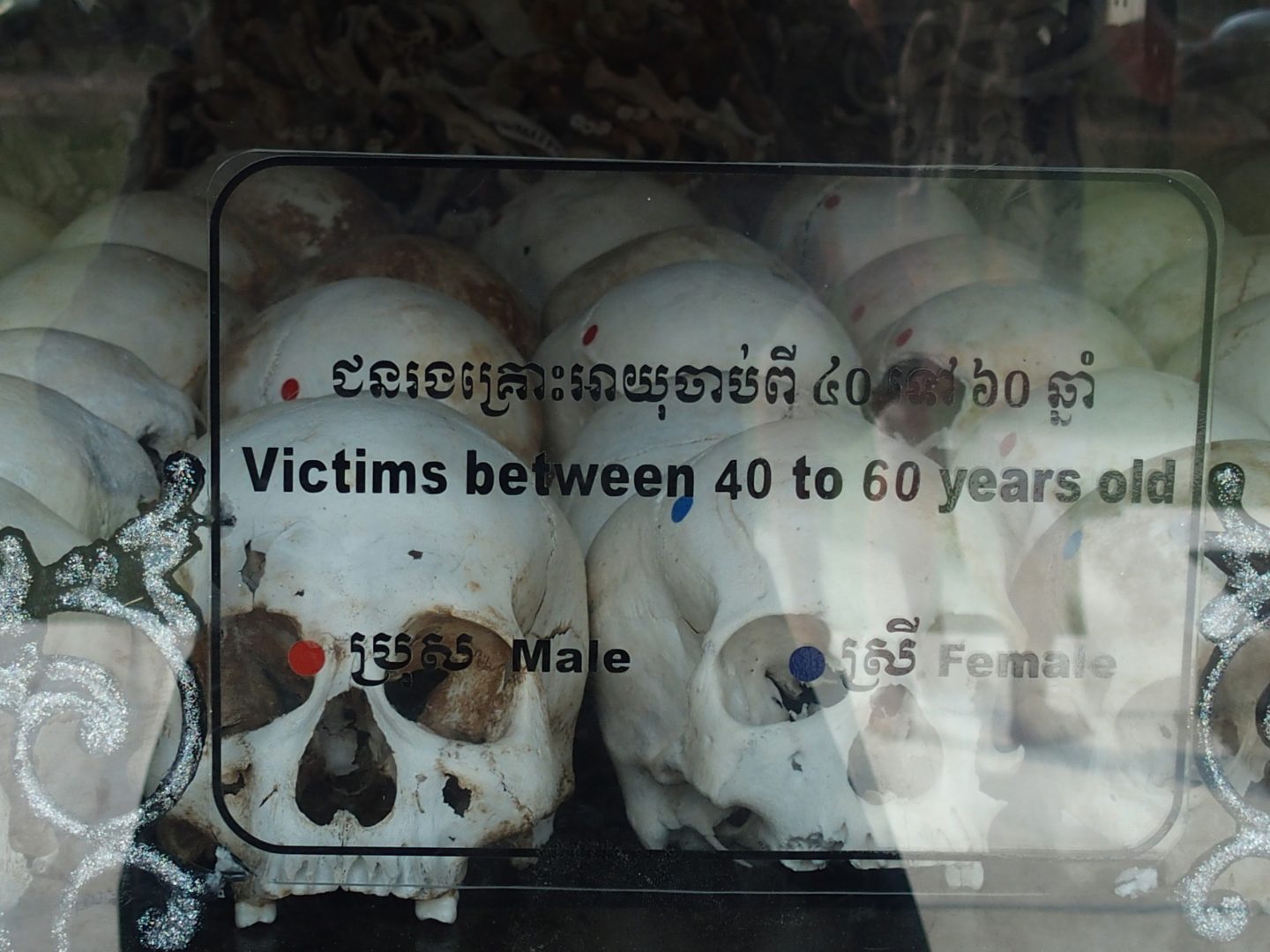Crânes victimes 40-60 ans Musée génocide Phnom Penh Cambodge