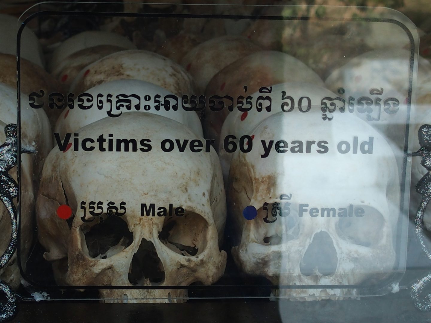 Crânes victimes 60 ans Musée génocide Phnom Penh Cambodge