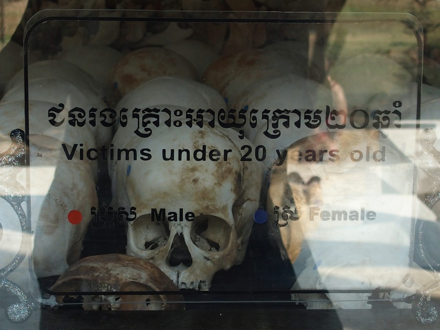 Crânes jeunes Musée génocide Phnom Penh Cambodge