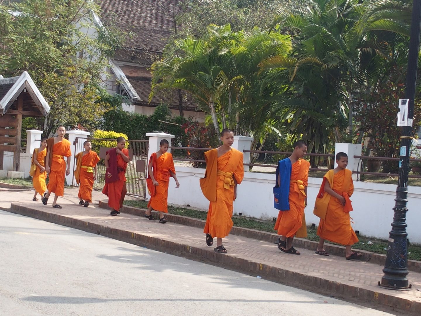 Départ des moines pour les cours Luang Prabang Laos