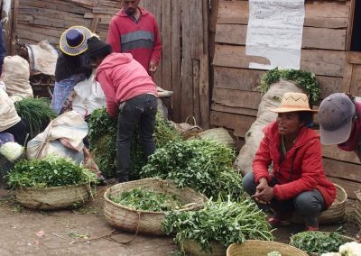 Etal herbes aromates marché Madagascar