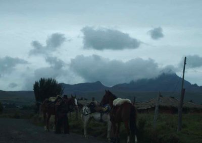 Gauchos sur route volcan Cotopaxi Equateur