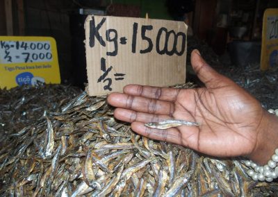 Petits poissons marché Dar es Salaam Tanzanie