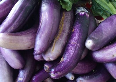 Sorte d'aubergines marché Timphu Bhoutan