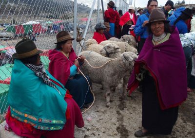 Vendeuse de moutons marché de Guamote Carnet de voyage en Equateur