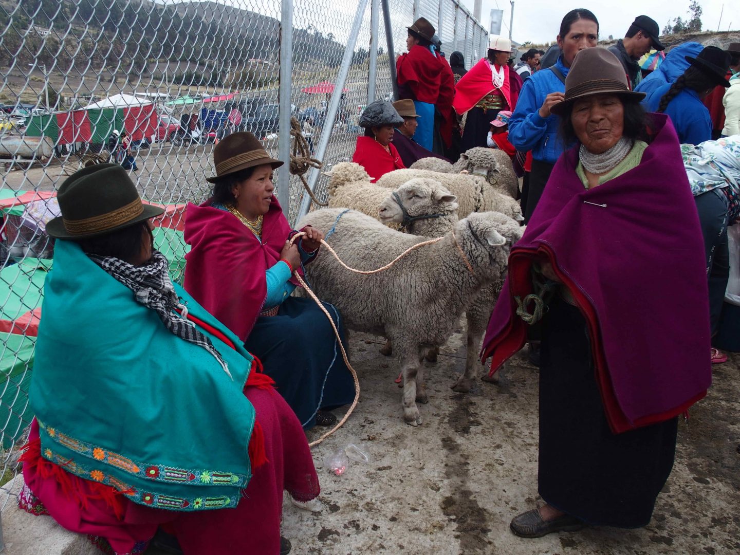 Vendeuse de moutons marché de Guamote Carnet de voyage en Equateur