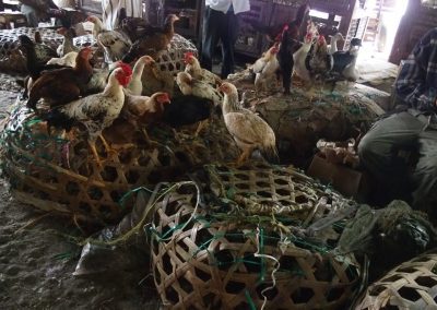 Vente poulets marché Dar es Salaam Tanzanie