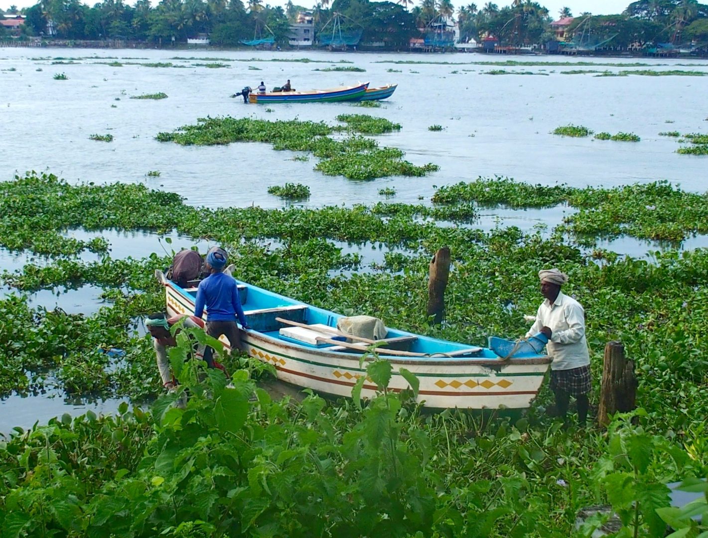 Barque de pêche Cochin Kerala Inde