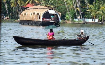 Plantations de thé et backwaters dans le Kérala en Inde