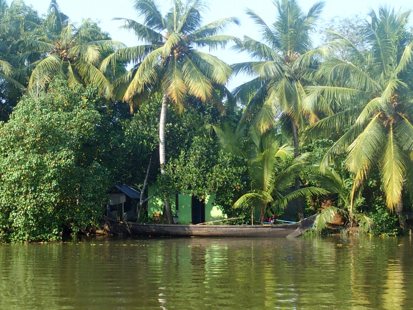 Maison dans végétatation backwaters Allepey Kerala Inde