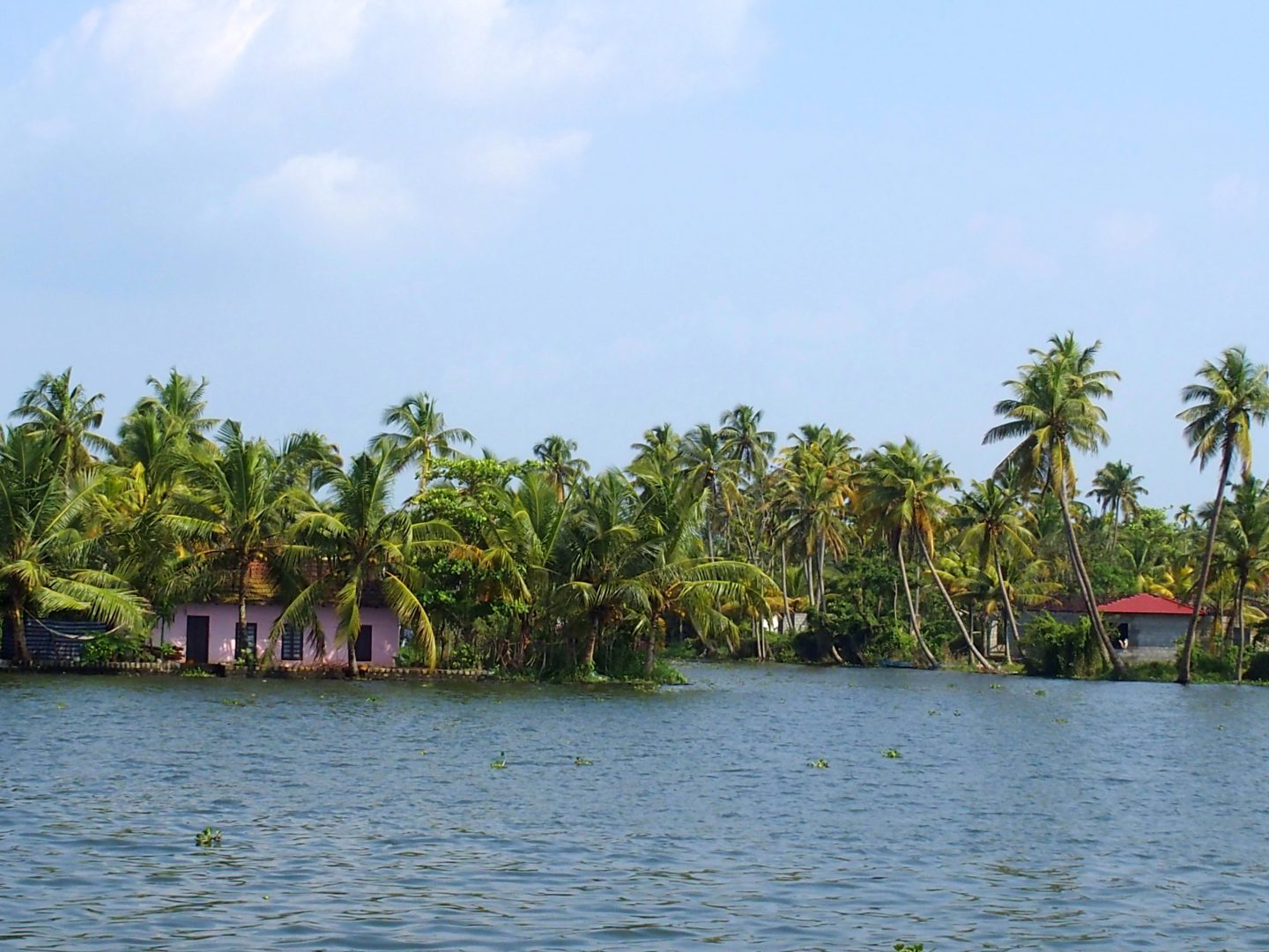 Petites maisons colorées sur rives backwater Allepey Kerala Inde