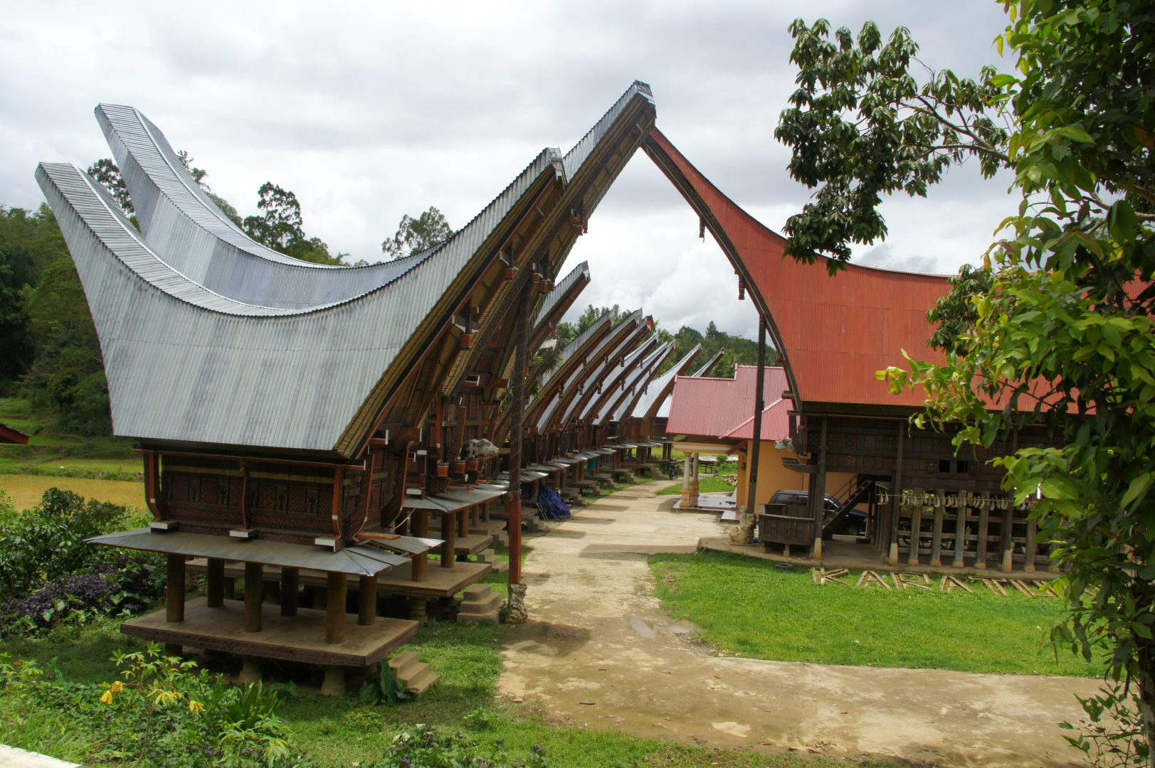 Bel alignement de tongkanan Pays Toraja Sulawesi Indonésie