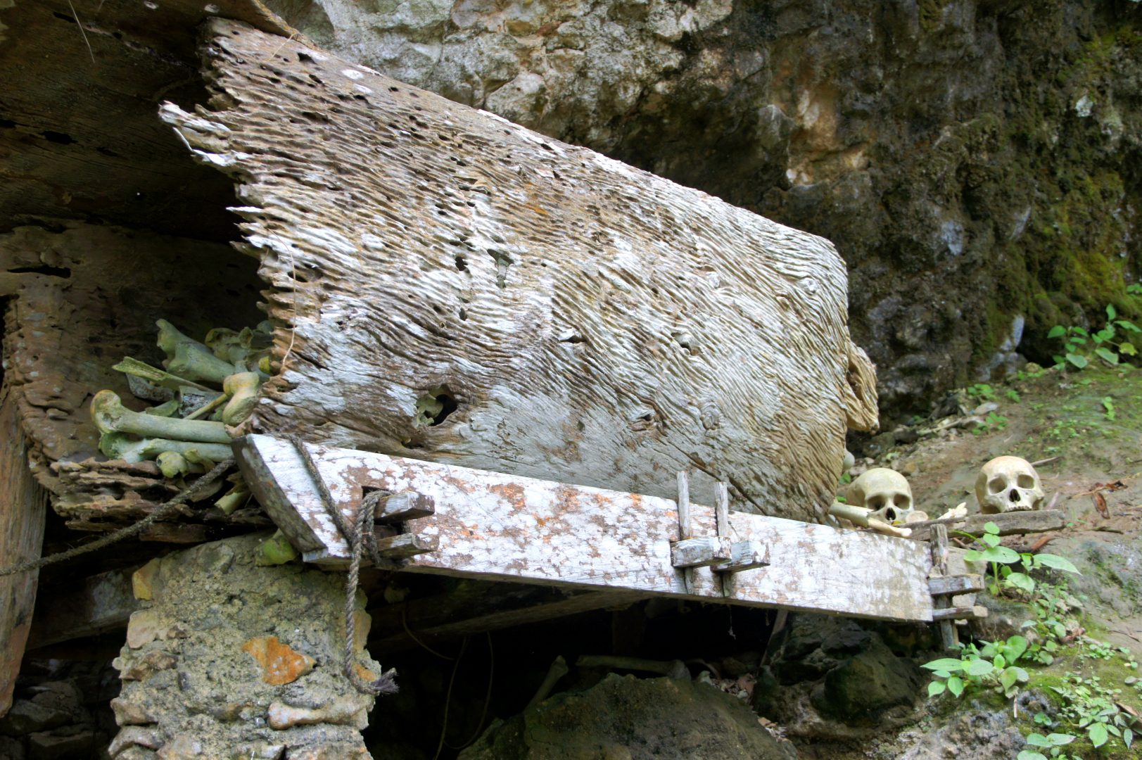 Cercueil et squelettes Pays Toraja Sulawesi