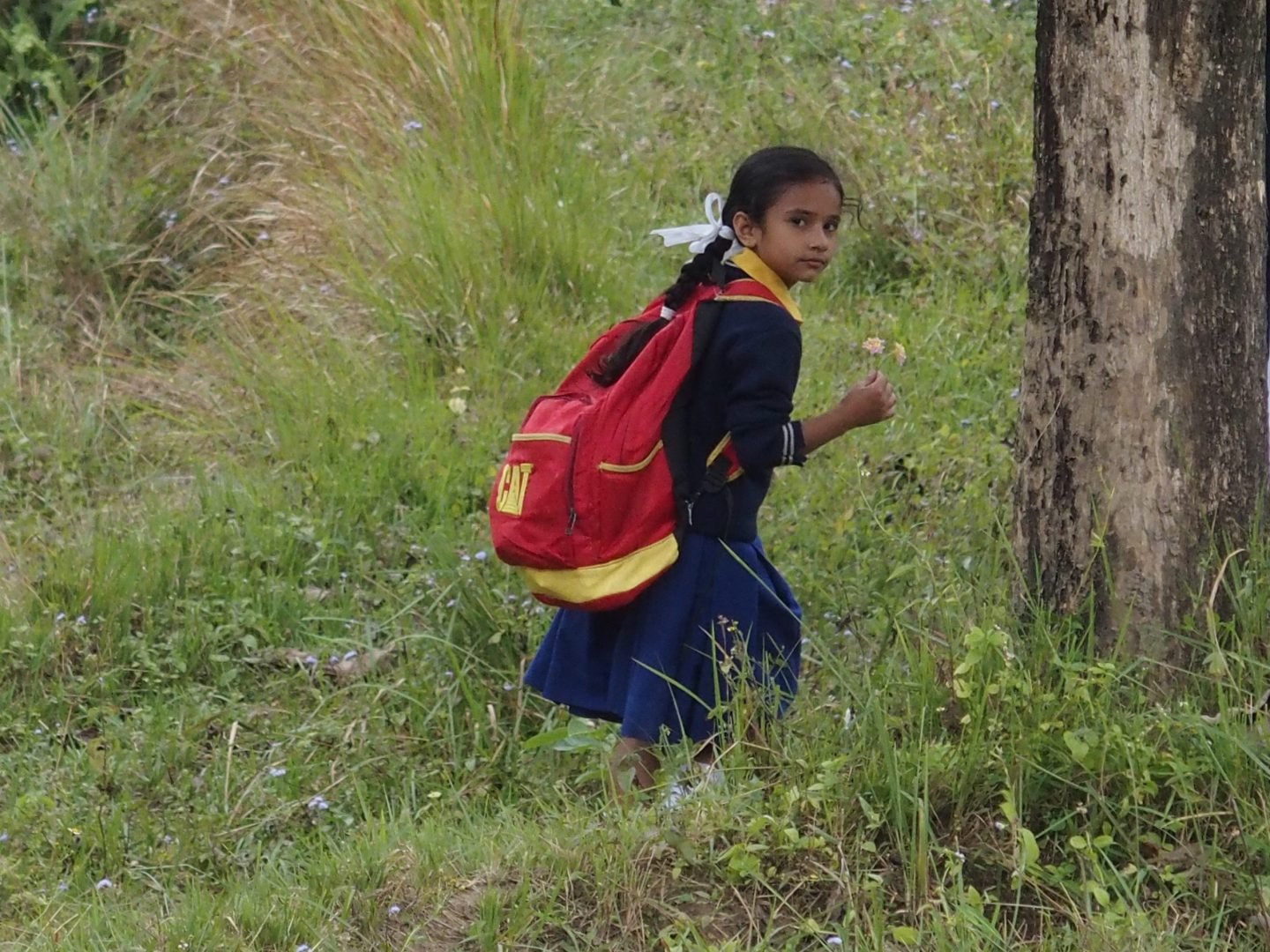 Petite fille à la sortie de l'école Kalimpong Inde