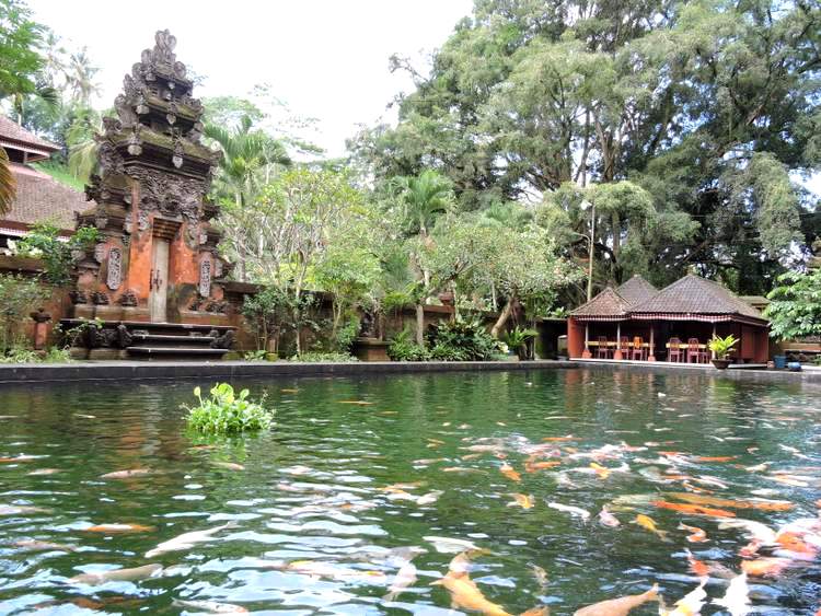 Bassin de carpes Koï Tirta Empul Bali