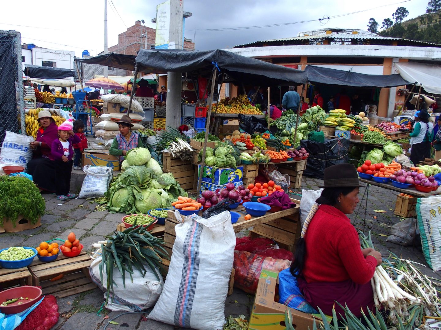 Vendeuses fruits et légumes sur marché de Guamote Equateur