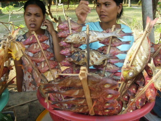 Vente poissons rue Kute Lombok
