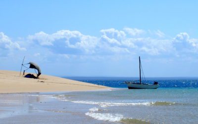 Carnet de voyage au Mozambique