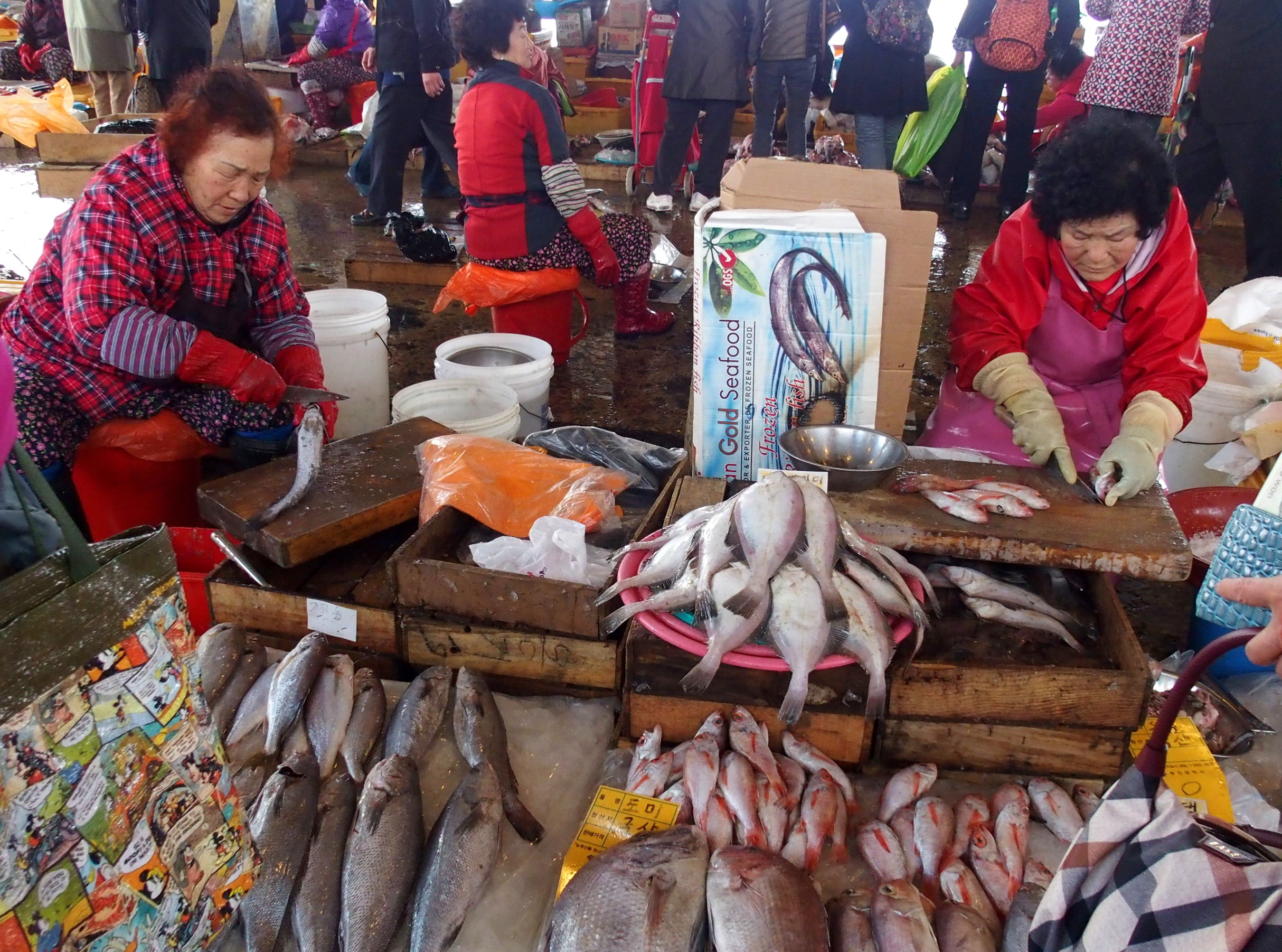 Marché aux poissons Busan Corée du sud.