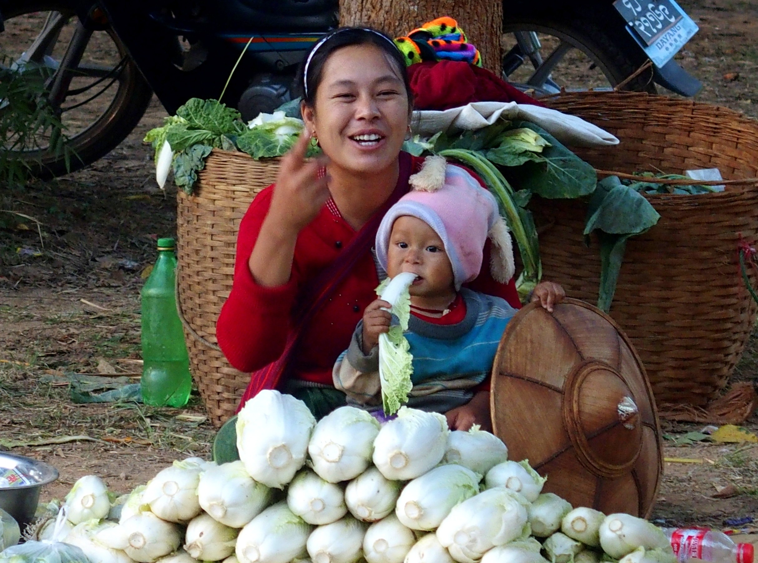 Petit mangeur de choux marché Bagan Birmanie