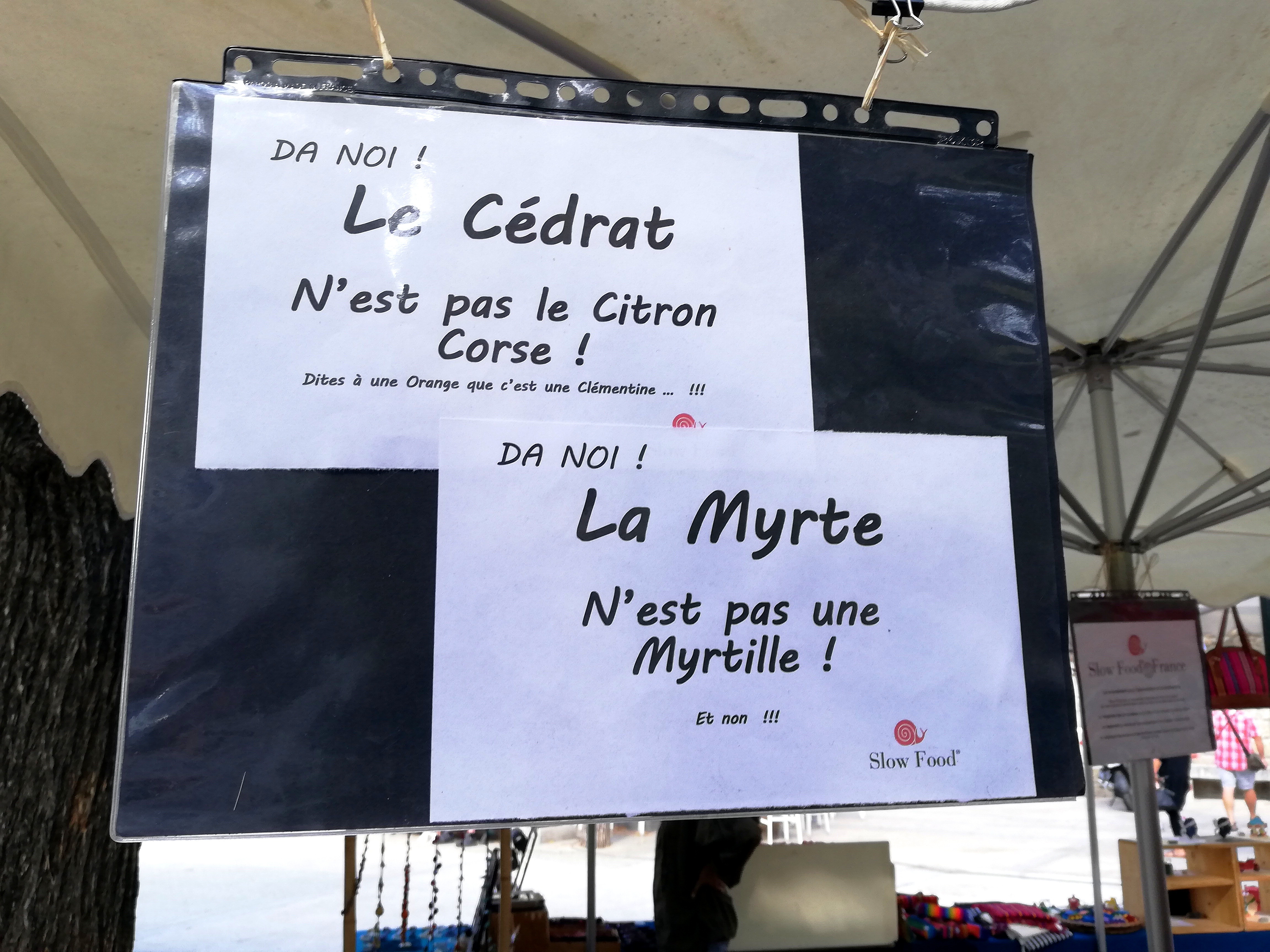 Pédagogie sur le stand Slow Food du marché de Sartène en Corse