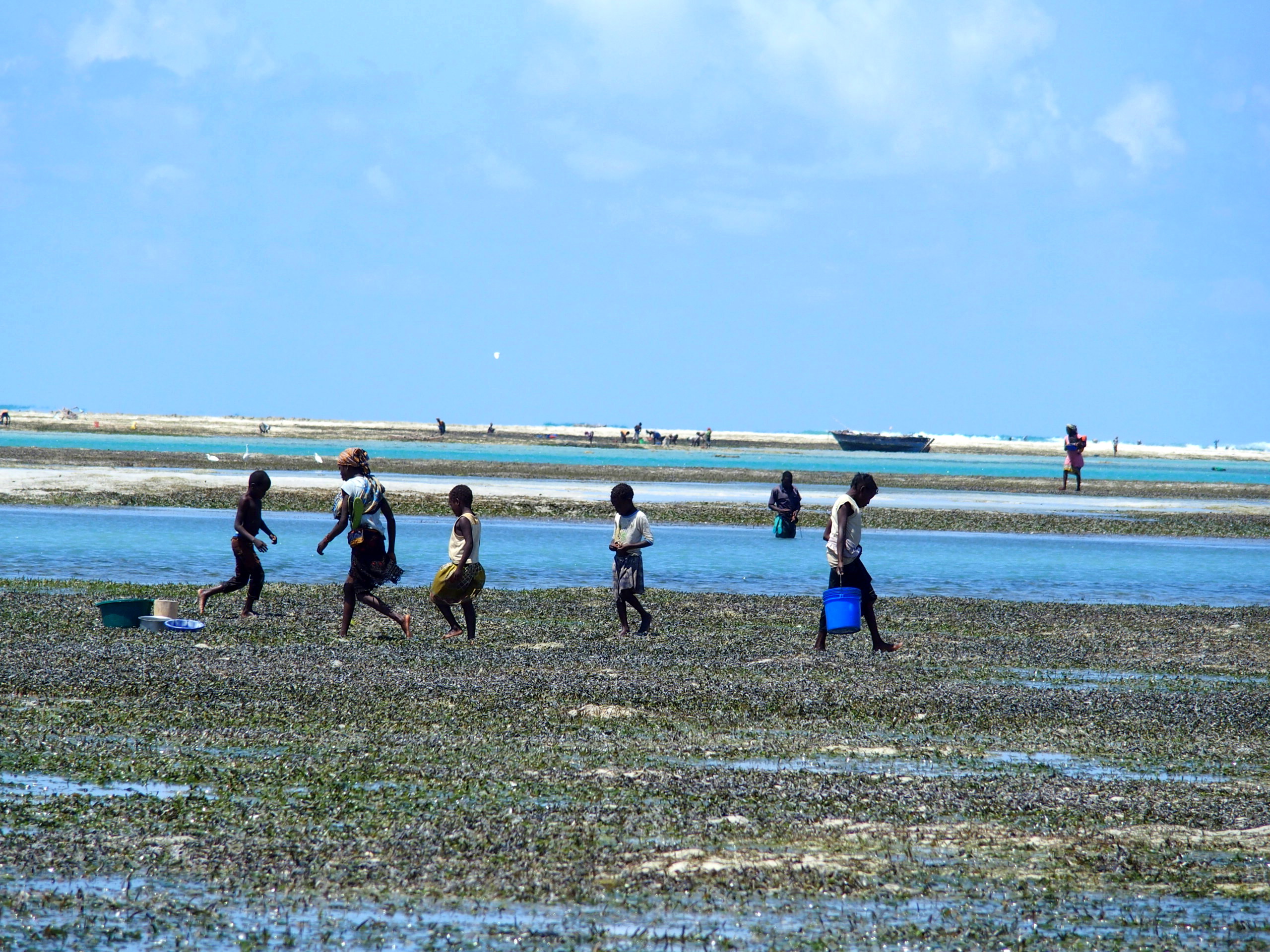 Femmes et enfants à la pêche aux coquillages Mozambique.