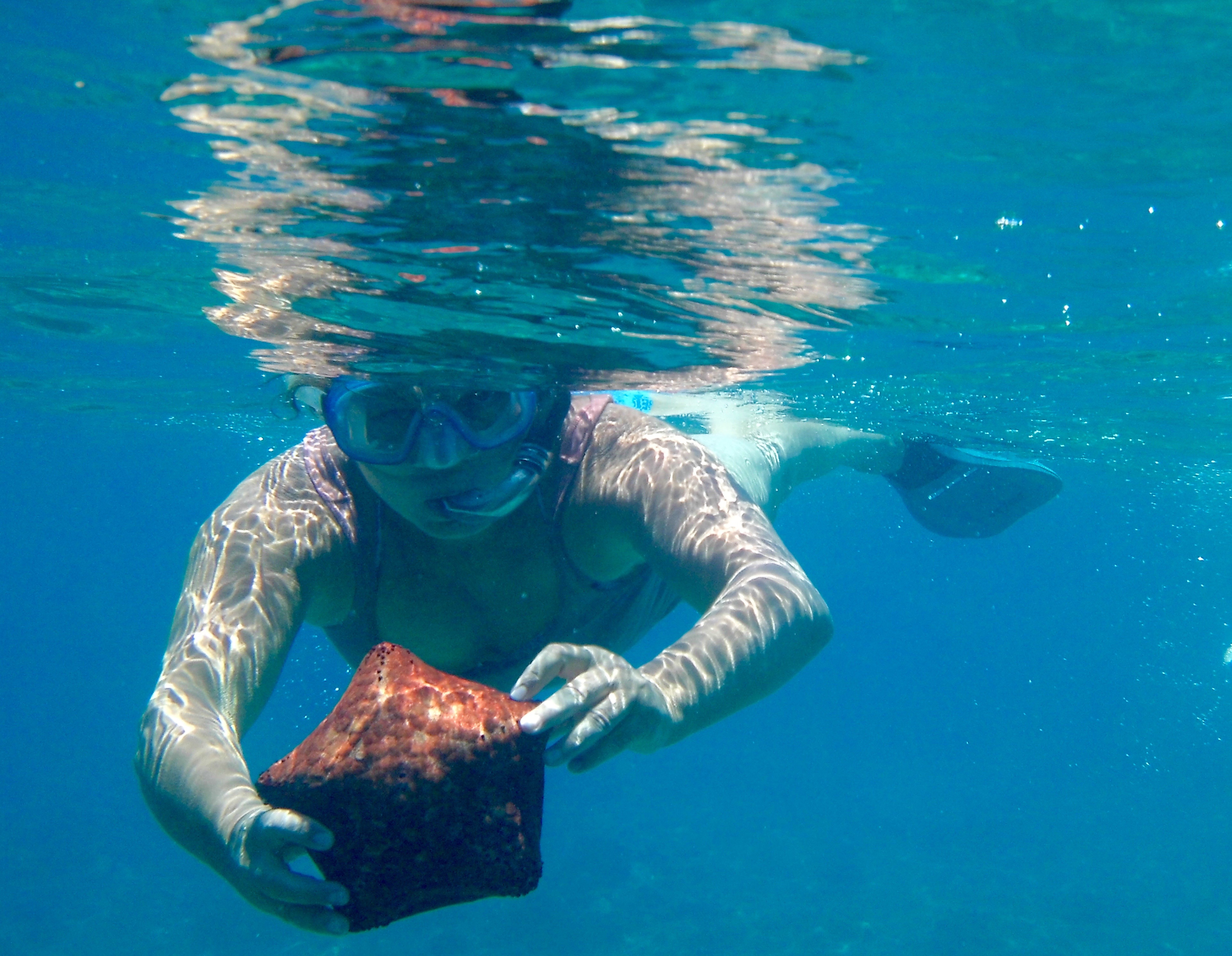 Snorkeling île Nosy Be Madagascar.