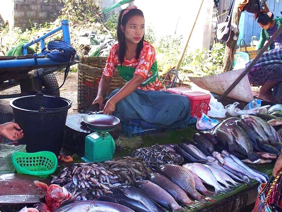 Vendeuse poissons marché Bago Myanmar