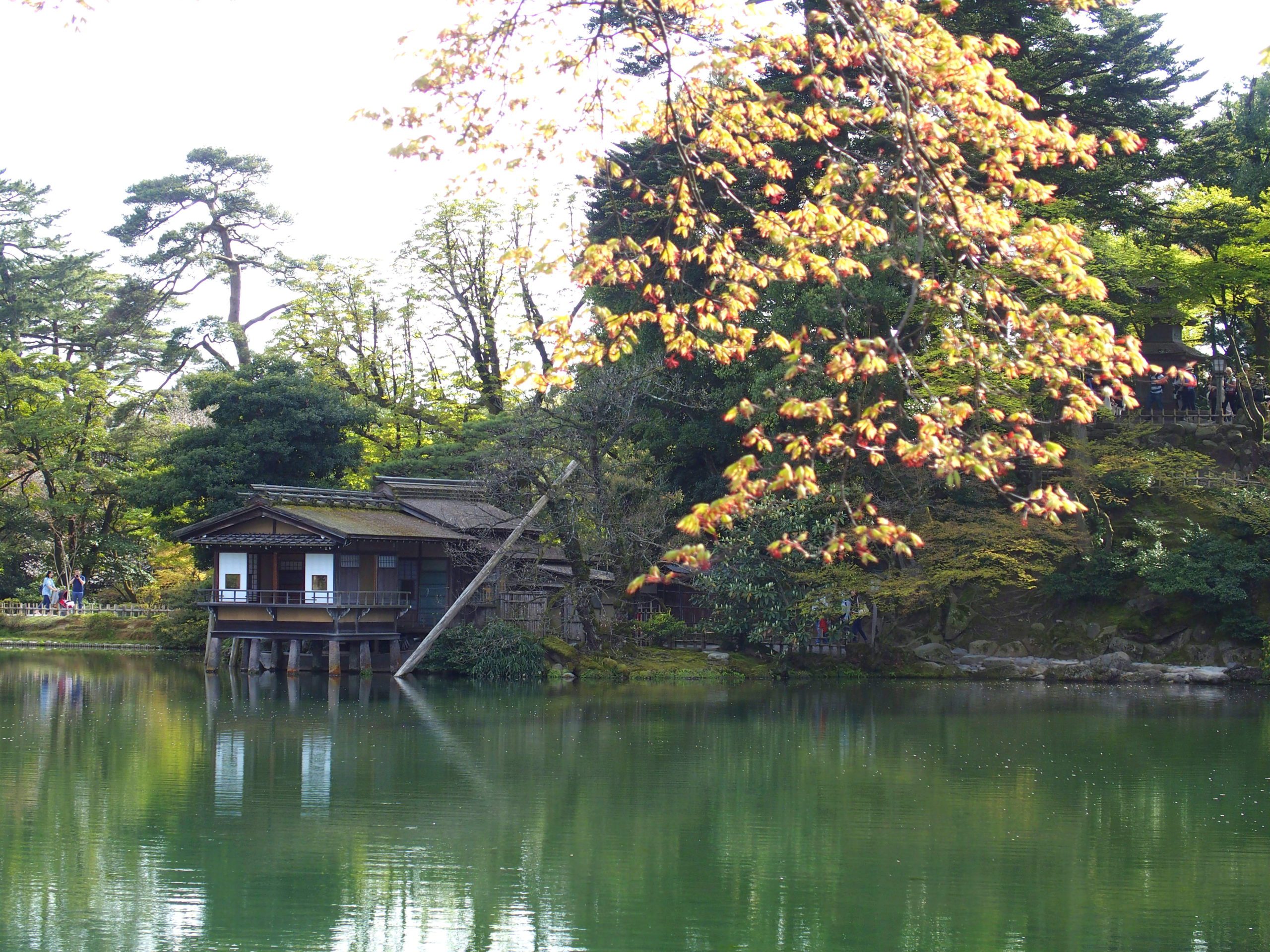 Maison de thé sur l'étang jardin Kenrokuen Kanazawa Japon