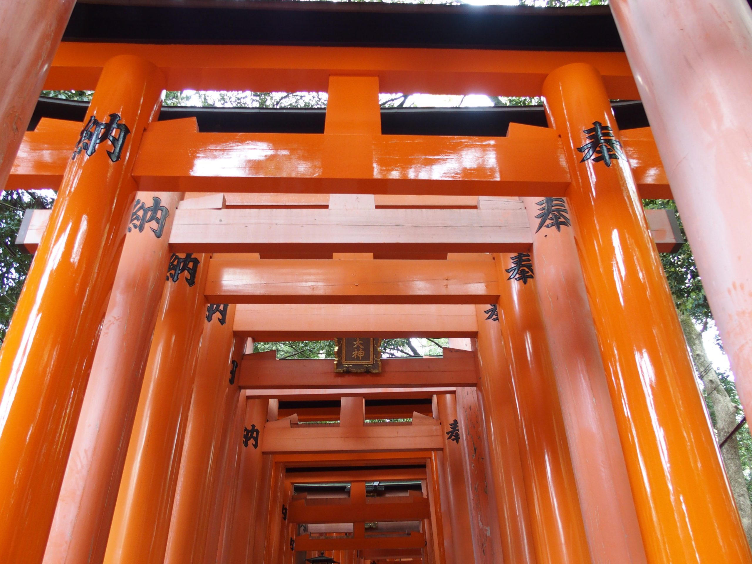 Porche de torii du sanctuaire Fushimi Inari-taisha Kyoto
