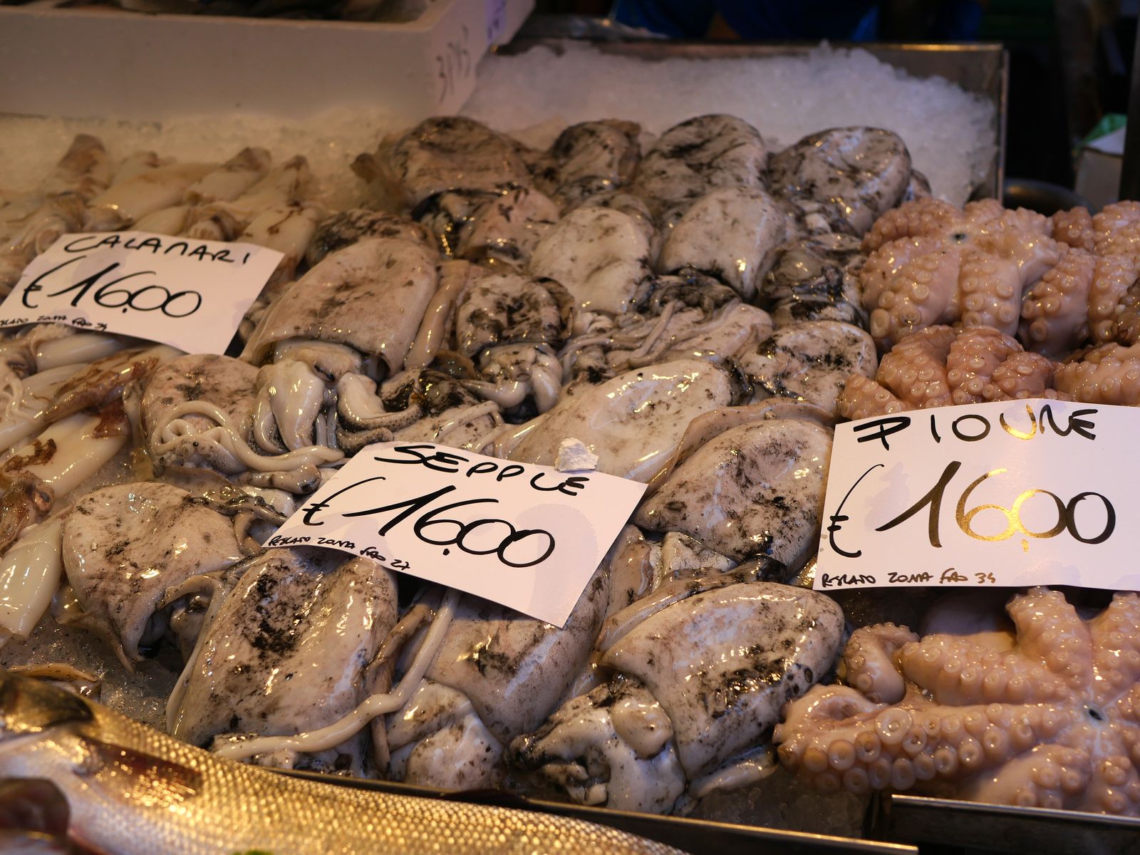 Calamars, poulpes et pieuvres marché du Rialto Venise