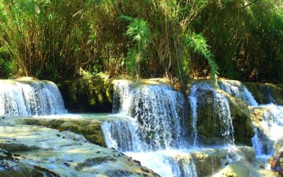 Chutes de Kuang Si au Laos – Comment les visiter ?