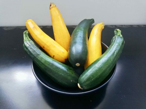 Courgettes