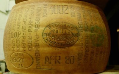 Fabrication du Parmigiano Reggiano